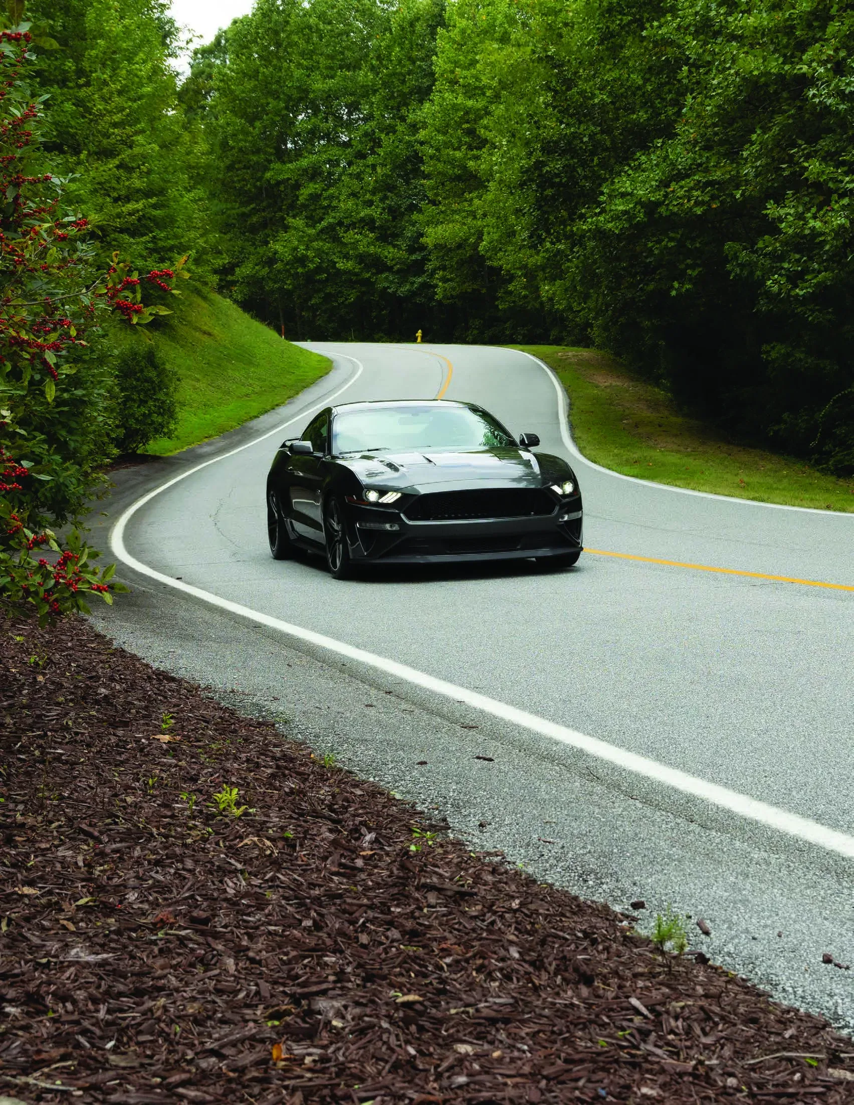 Driving on a winding road